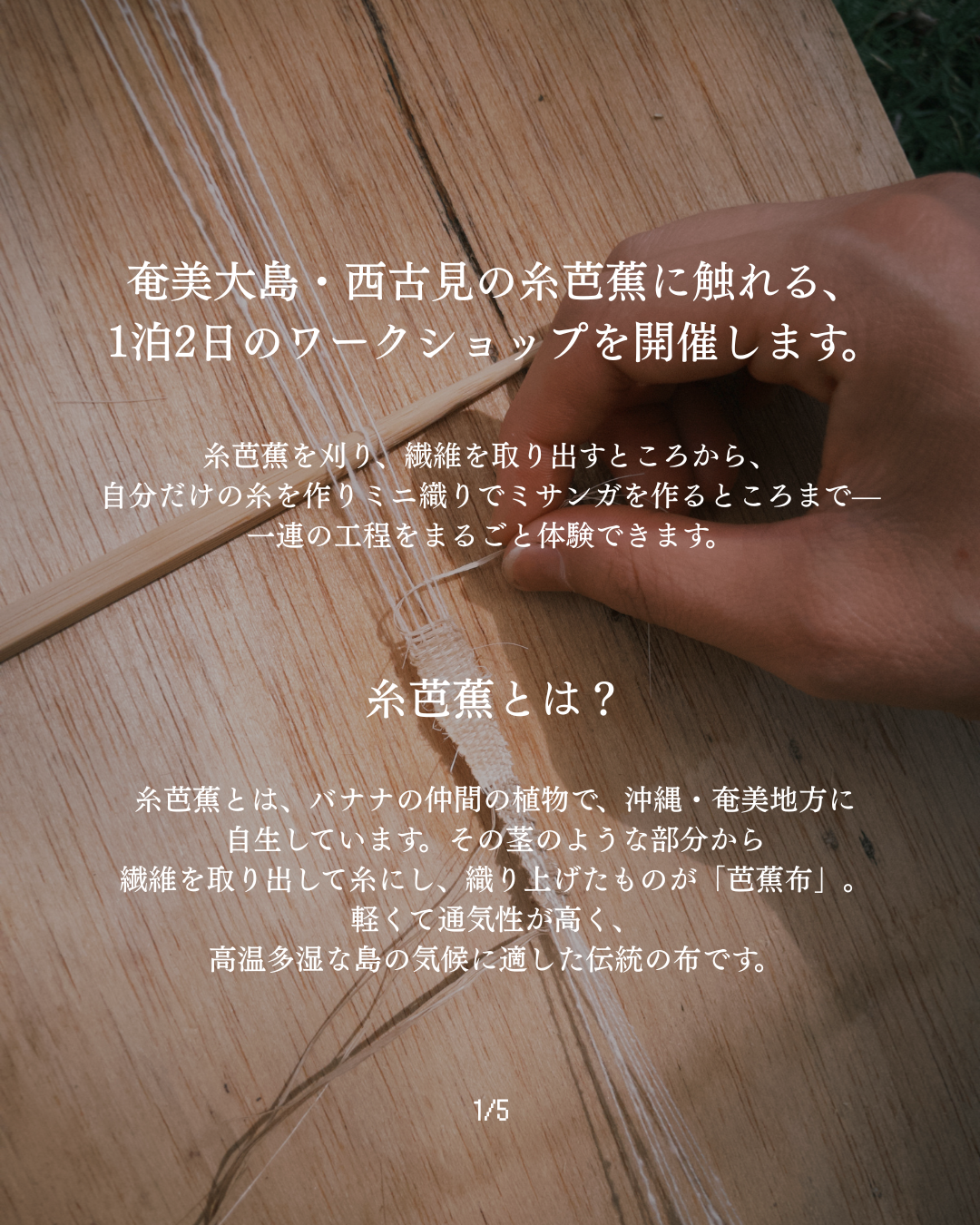 糸芭蕉とワークショップの紹介